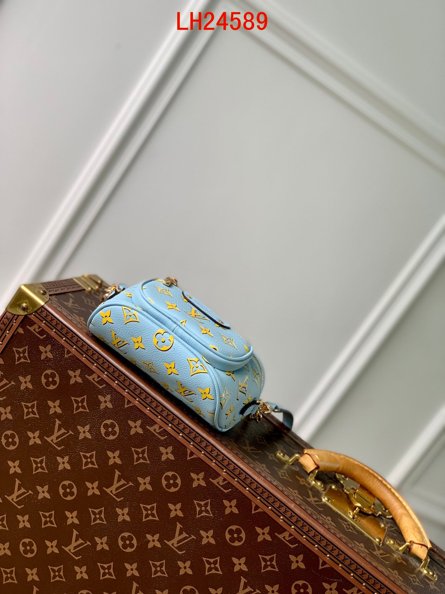 Louis Vuitton Mini Bumbag