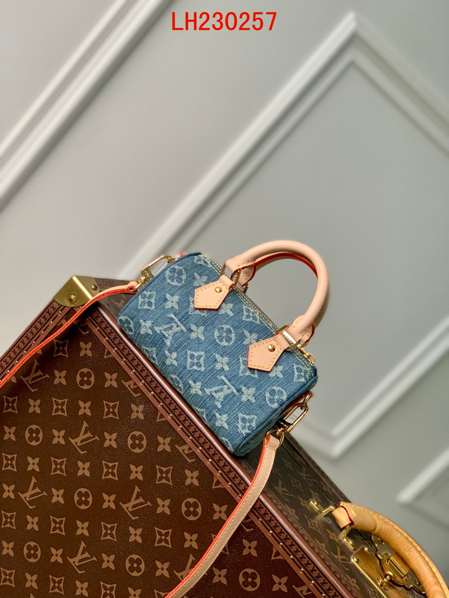 Louis Vuitton Nano Speedy Monogram Denim