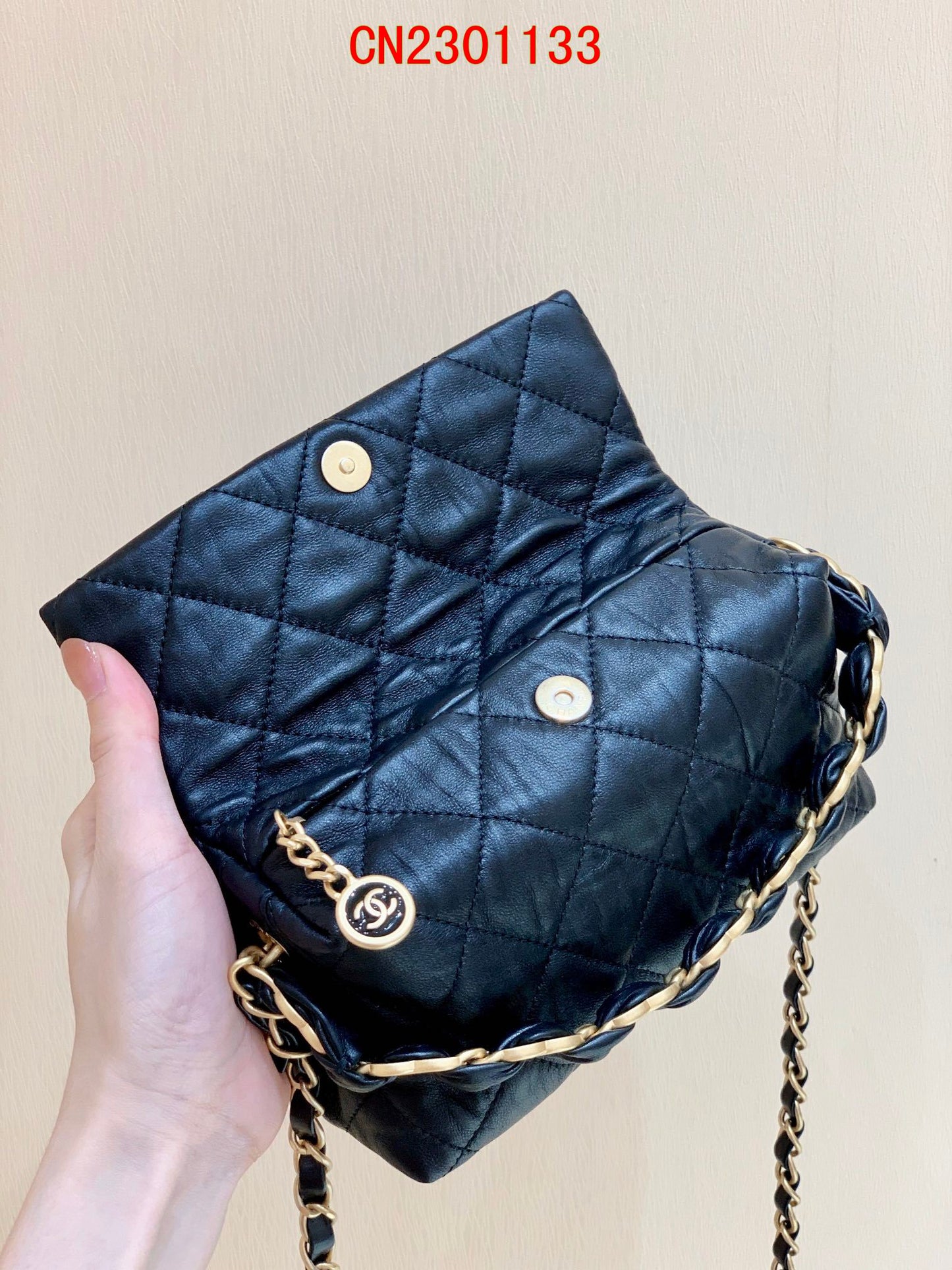 Chanel Small Hobo bag