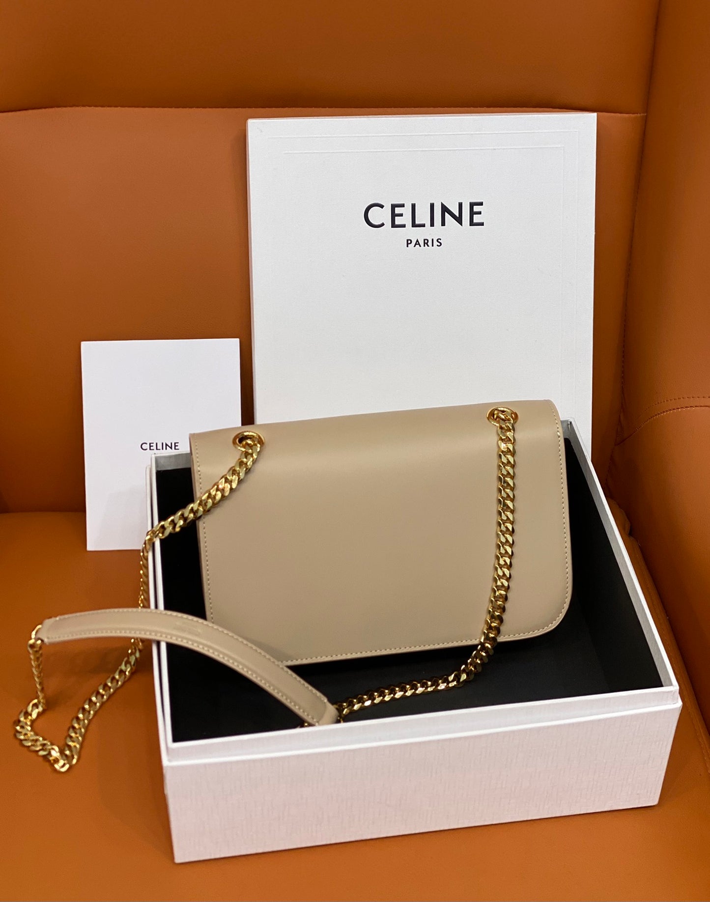 Celine Medium Bag Triomphe Frame