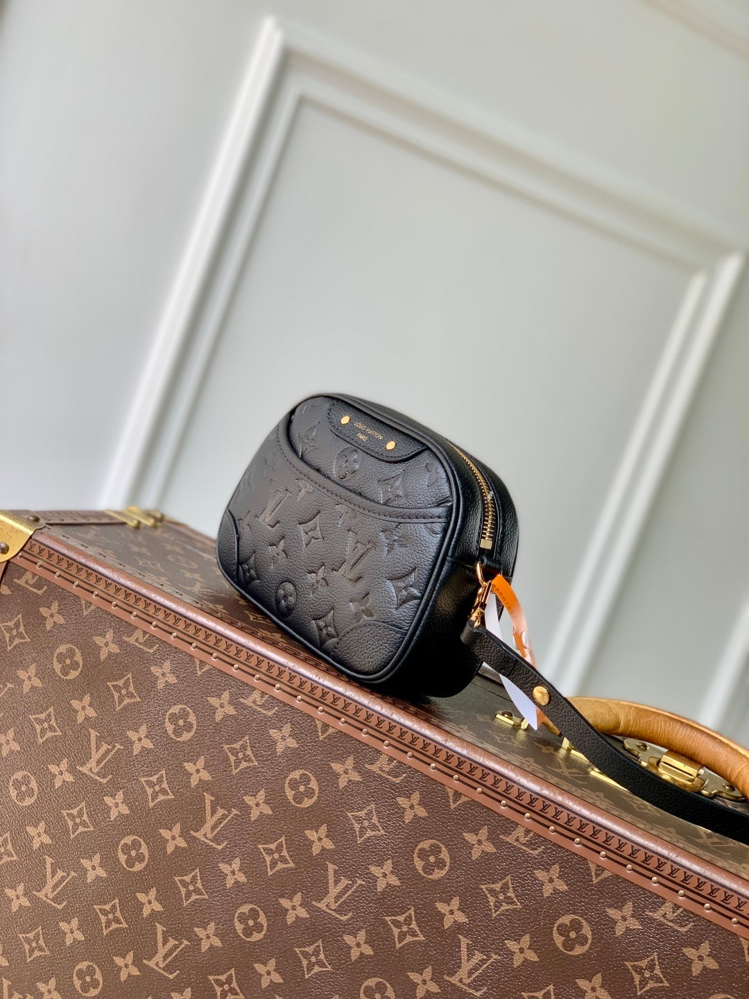 Louis Vuitton Tiny Camera Bag