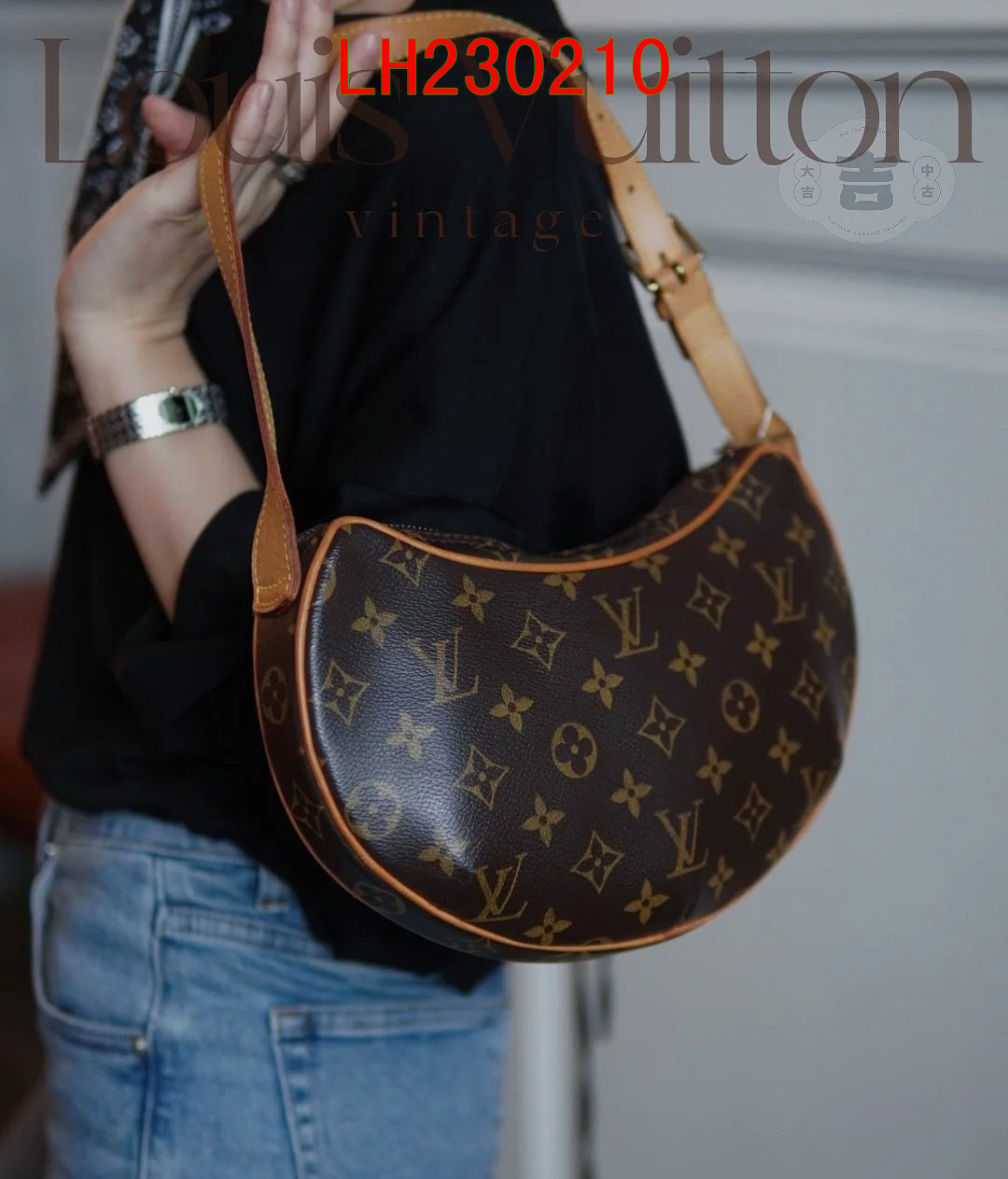 Louis Vuitton Pochette Croissant Bag