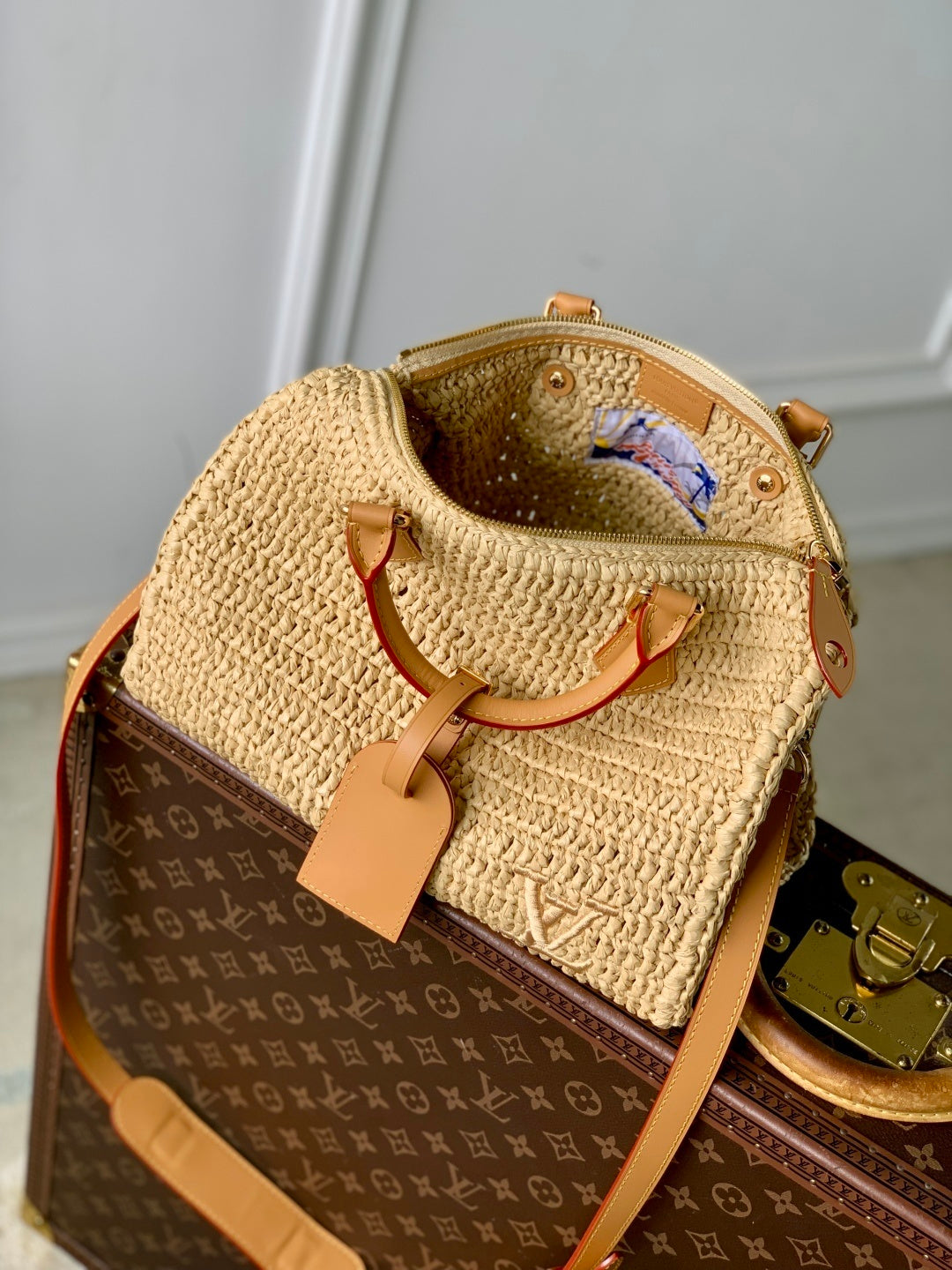 Louis Vuitton Speedy 30 Bandoulière Raffia