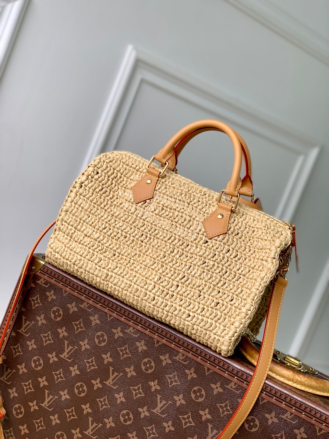 Louis Vuitton Speedy 30 Bandoulière Raffia
