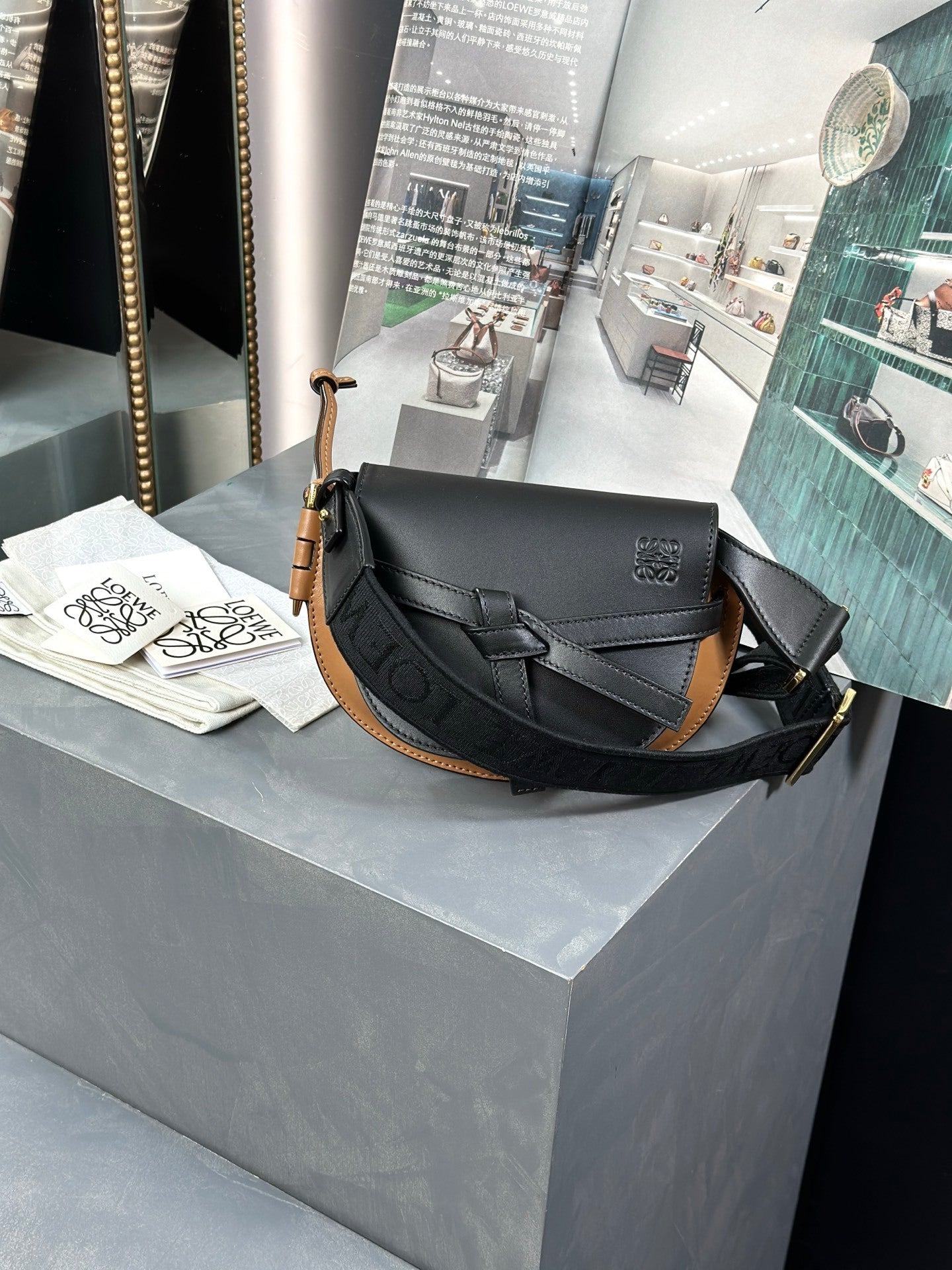 Loewe Mini Gate Dual bag