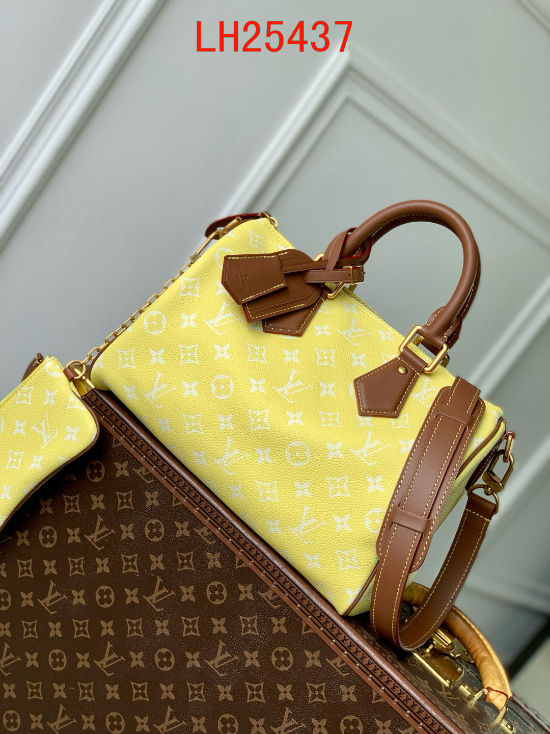 Louis Vuitton Speedy P9 Bandoulière 30 and 25