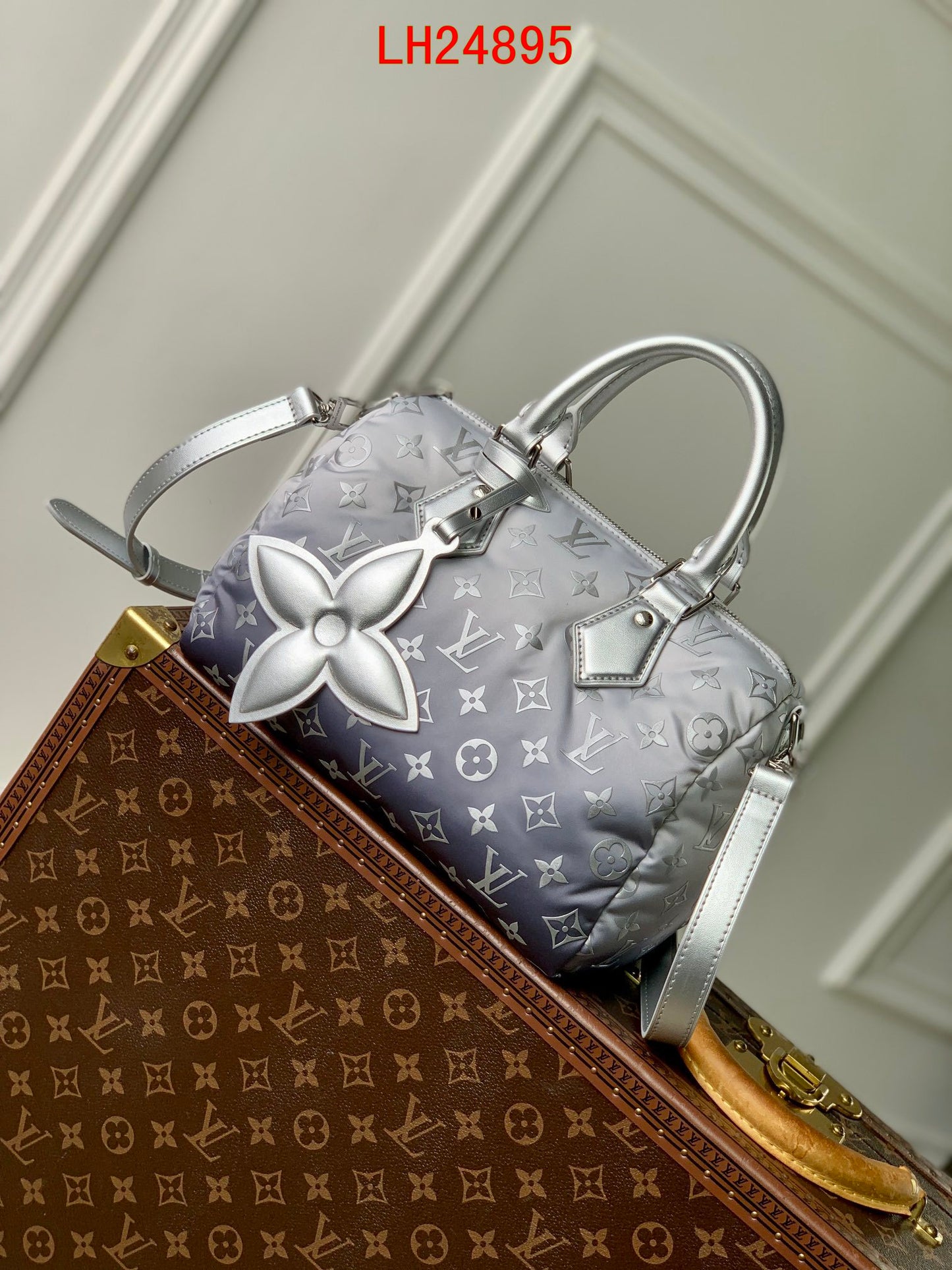 Louis Vuitton Speedy Bandoulière 25 Snow Collection