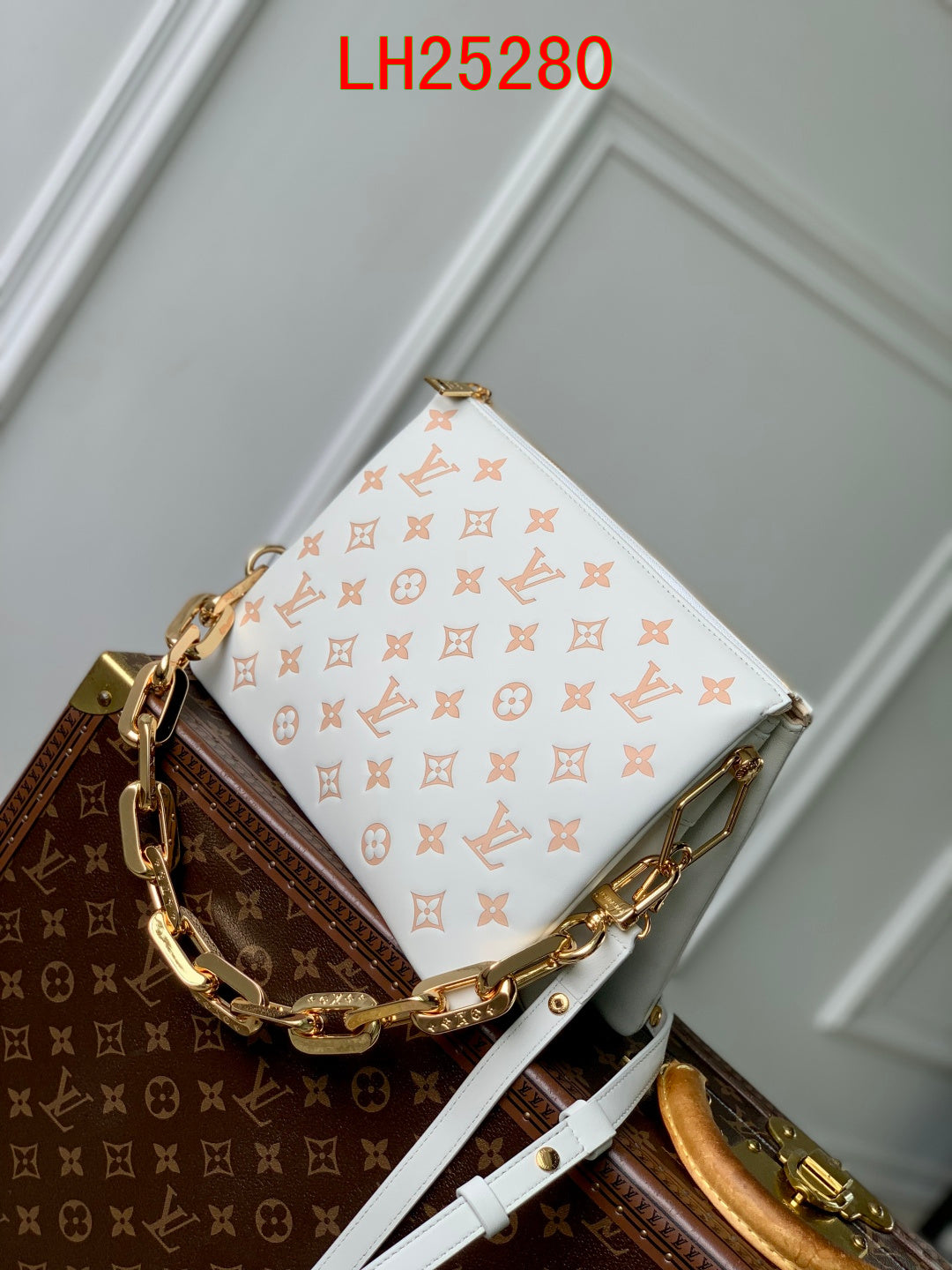 Louis Vuitton Coussin PM Spring In The City collection
