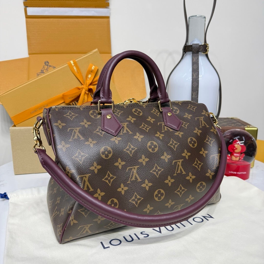 Louis Vuitton Speedy 30 Soft Celebratuin