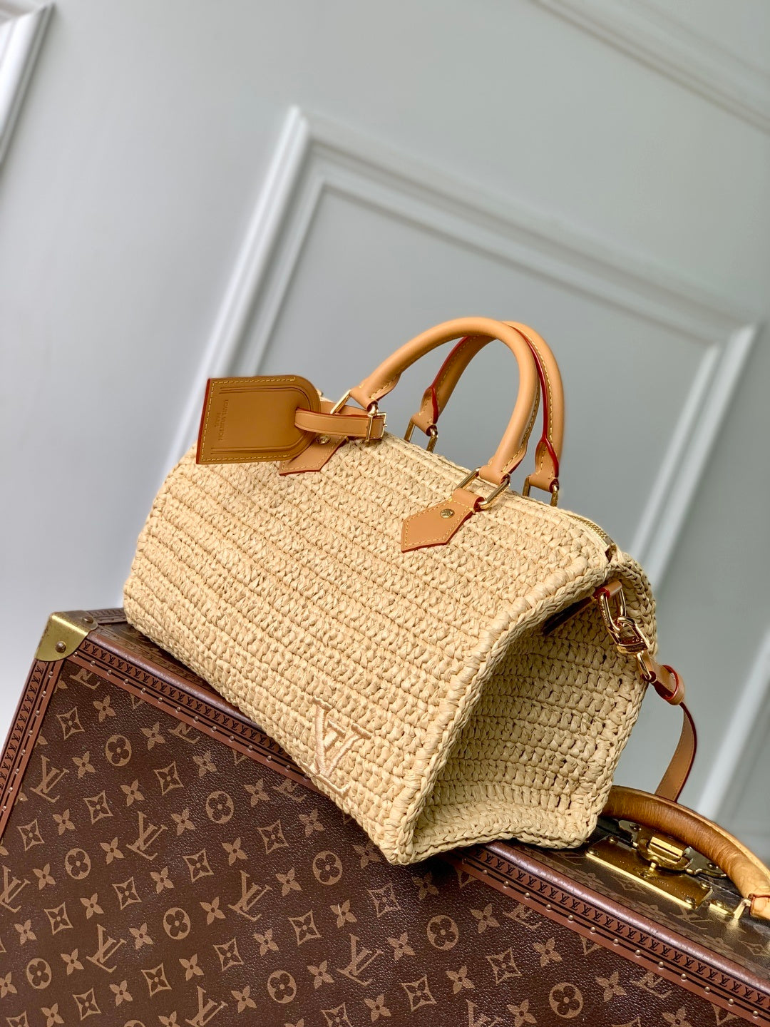 Louis Vuitton Speedy 30 Bandoulière Raffia