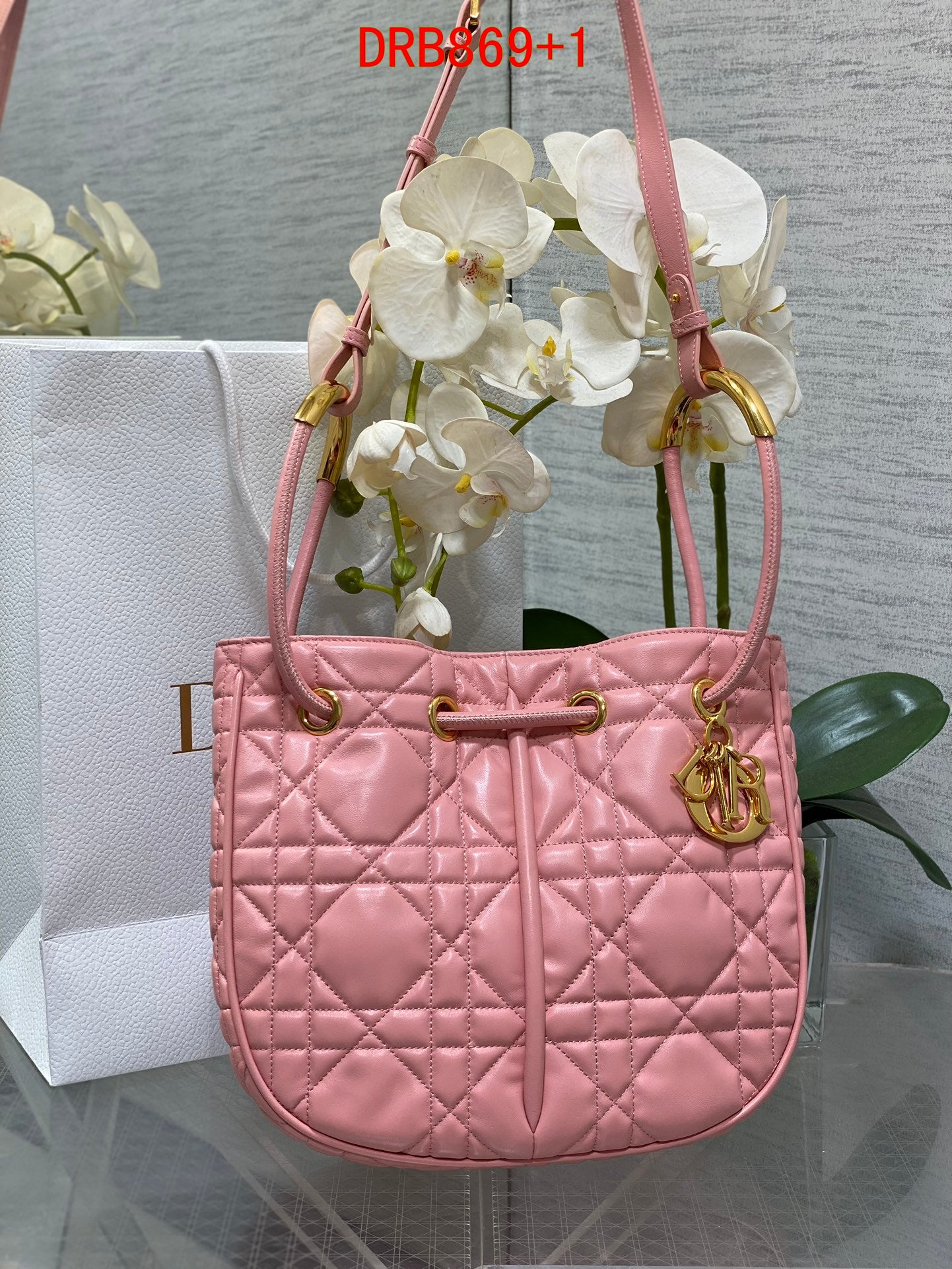 Dior Medium Nolita bag