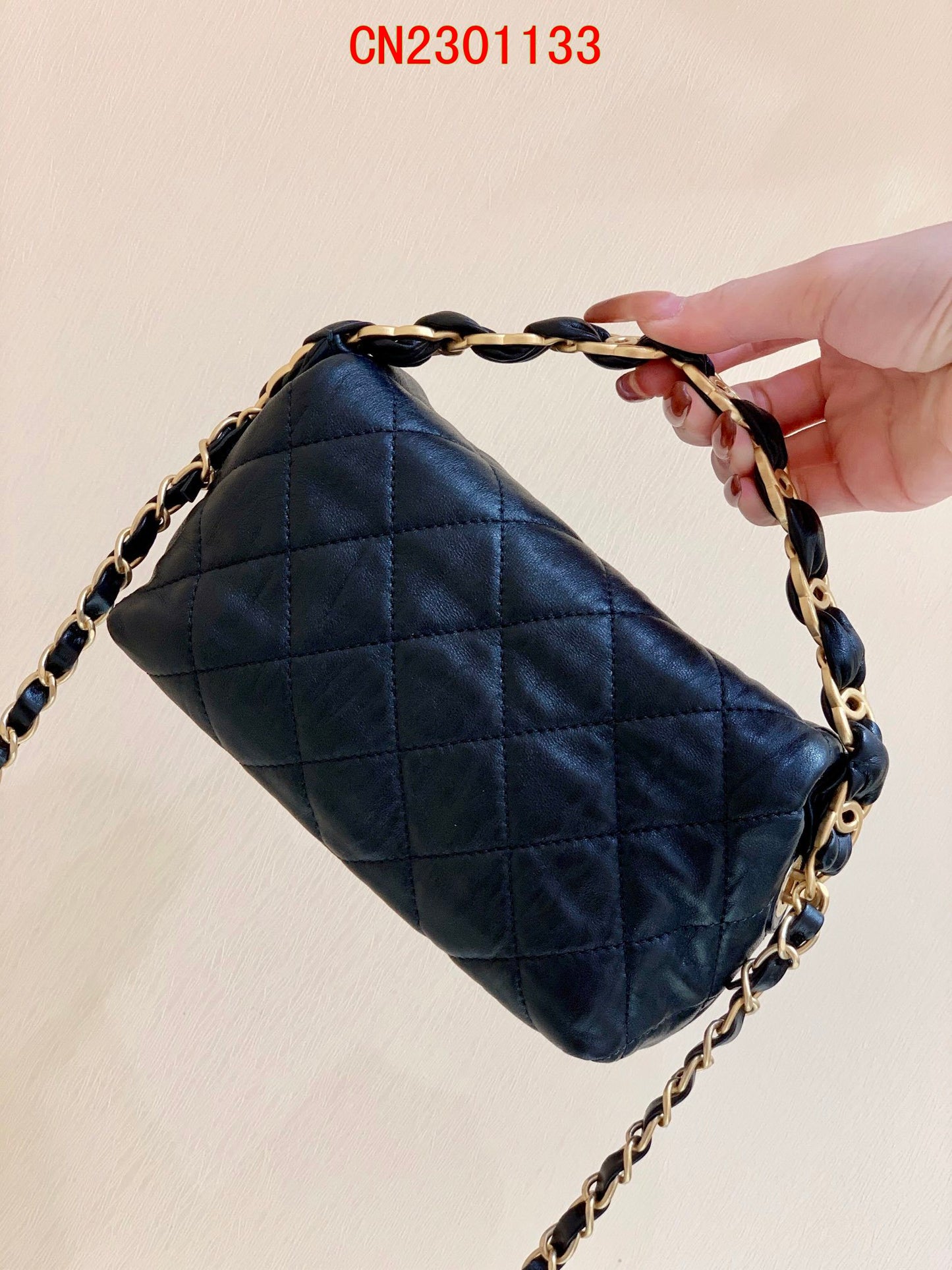 Chanel Small Hobo bag