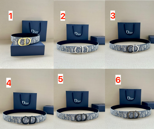 Dior Denim Belt