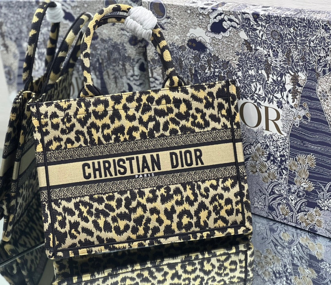 Dior Book Tote Bag