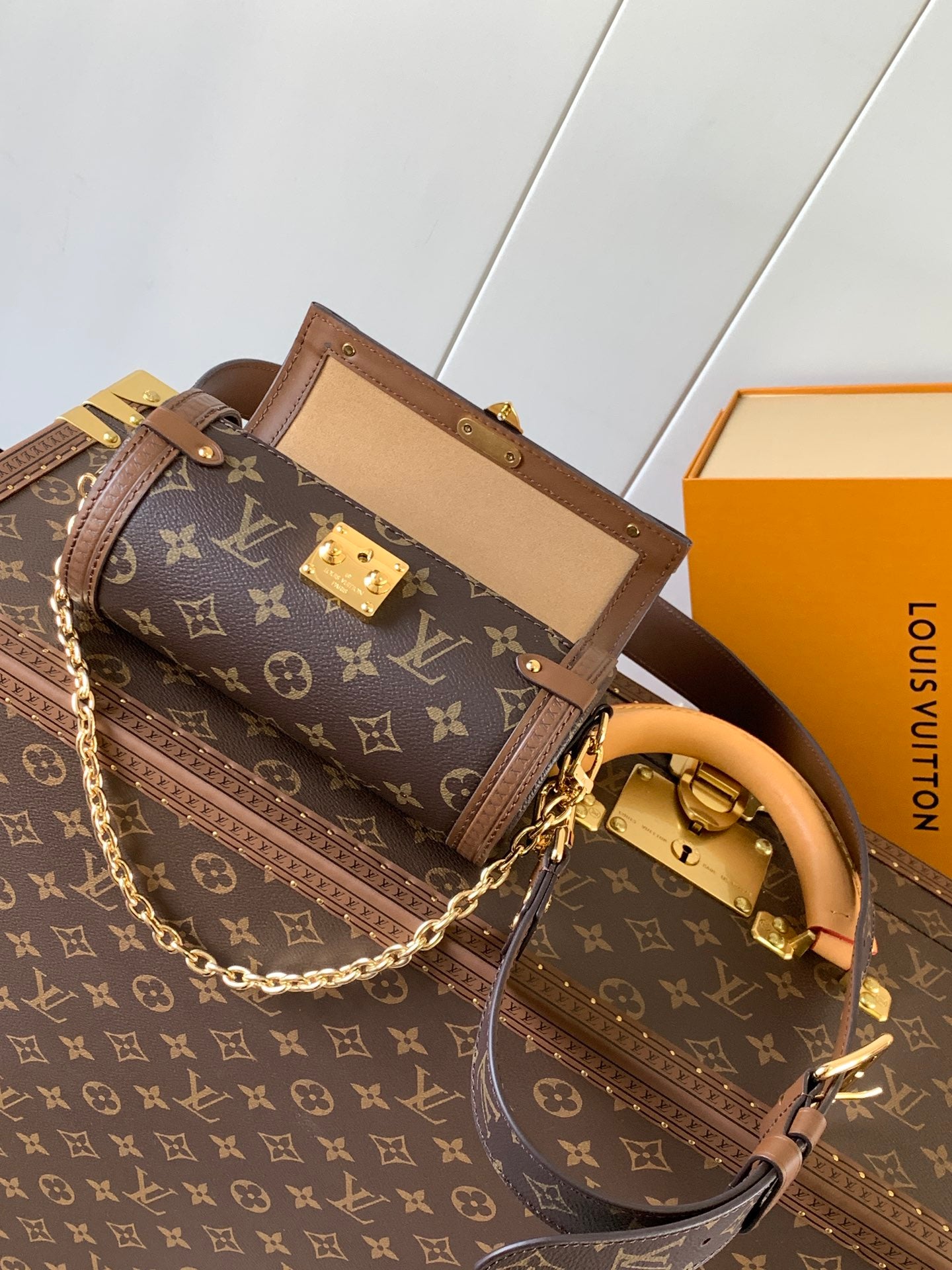 Louis Vuitton Papillon Trunk