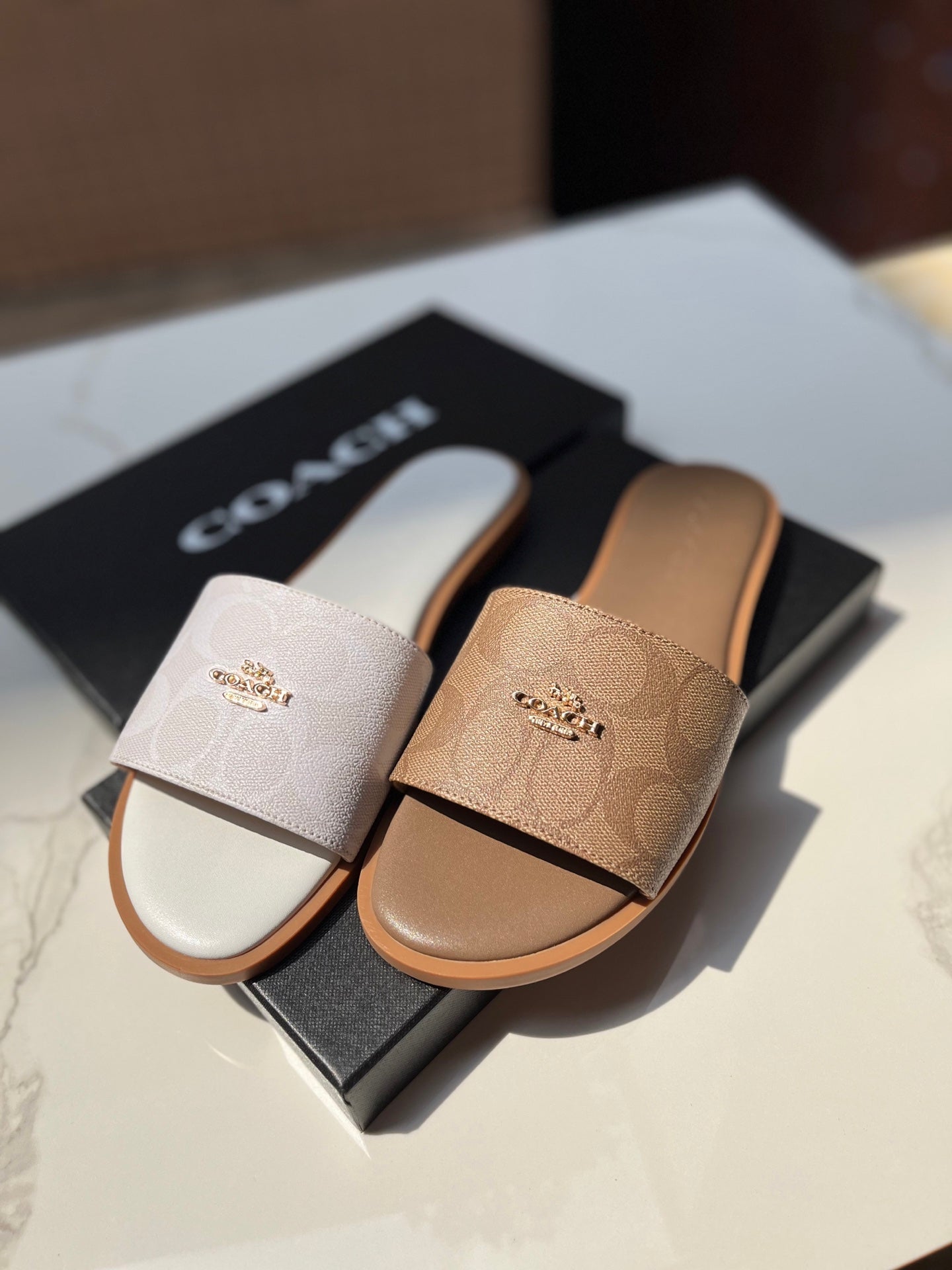 Coach Slippers