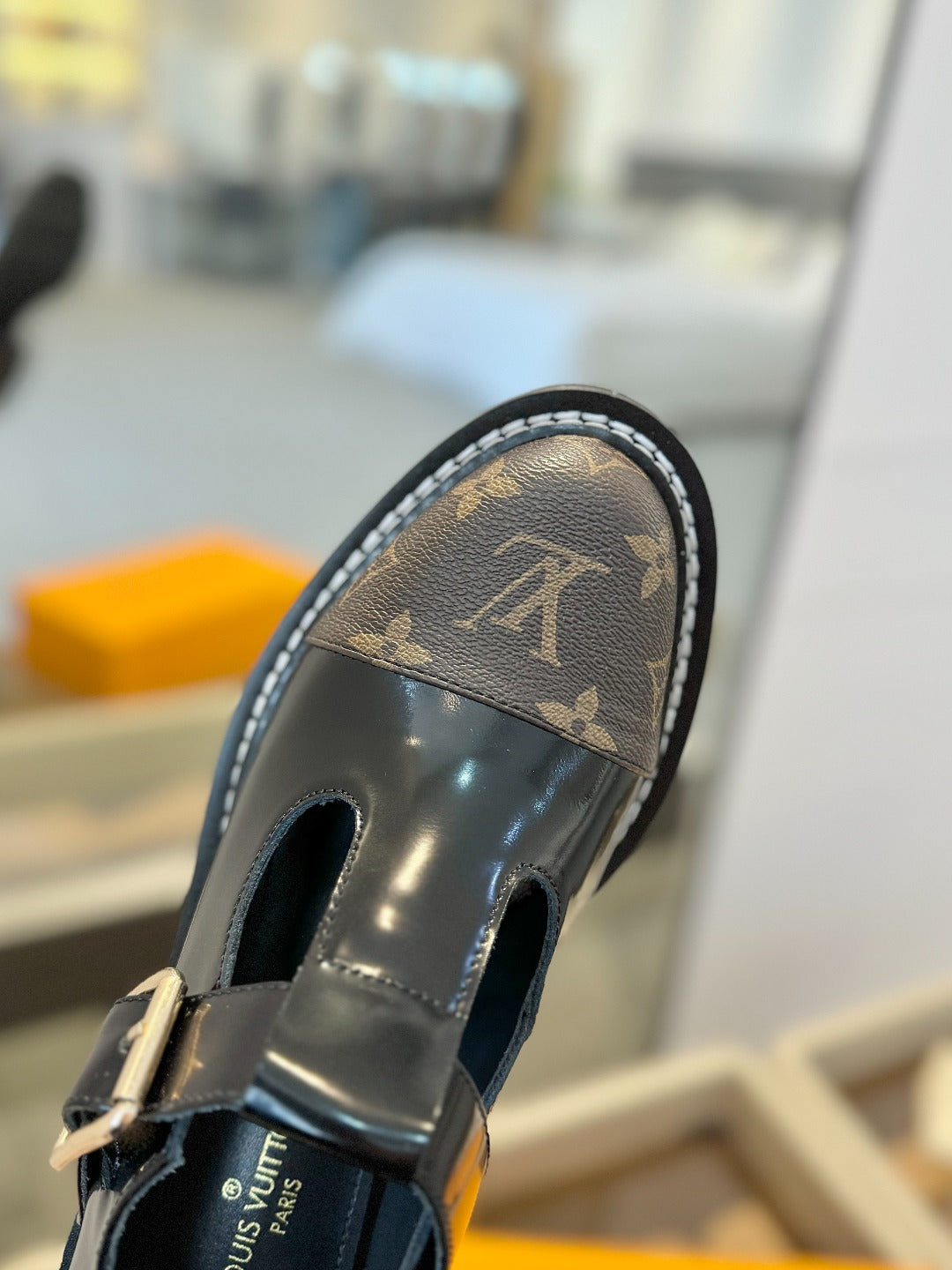 Louis Vuitton Shoes