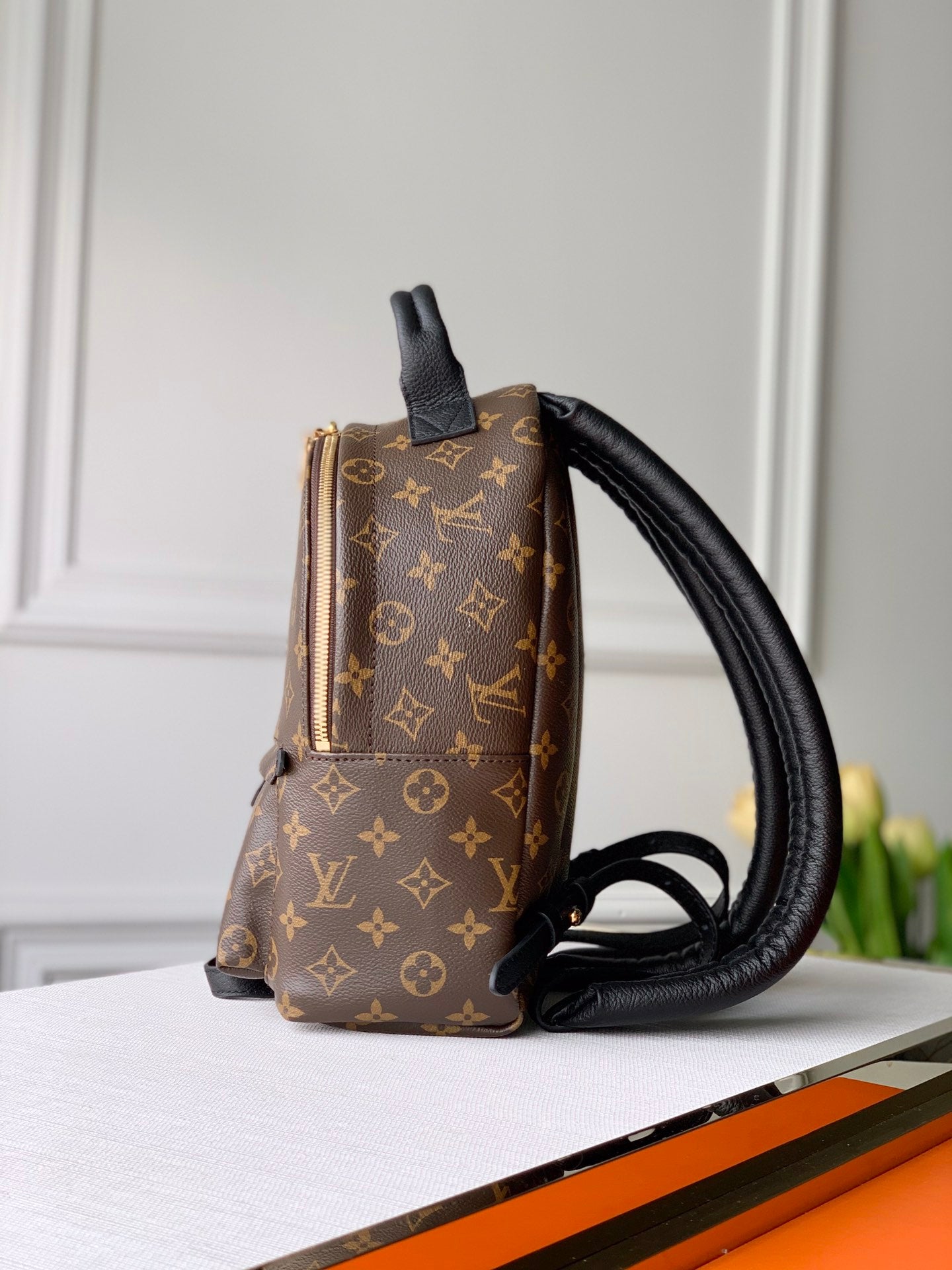 Louis Vuitton Palm Springs Backpack Mini, PM, MM