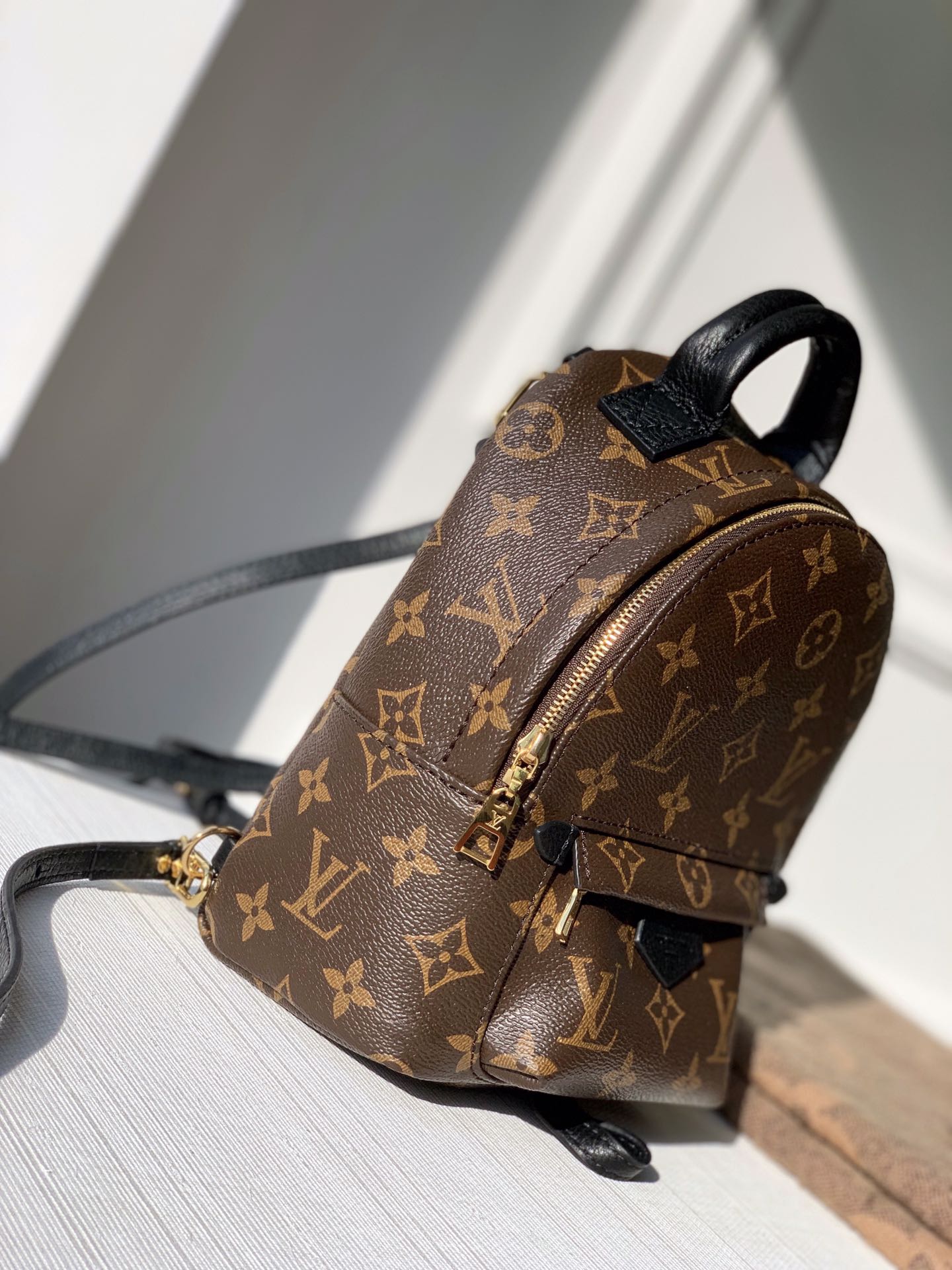 Louis Vuitton Palm Springs Backpack Mini, PM, MM