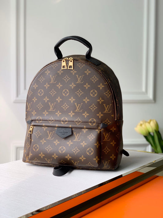 Louis Vuitton Palm Springs Backpack Mini, PM, MM